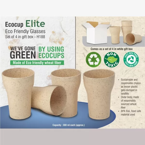 Eco Friendly Mug