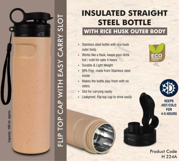 Insulated water bottle