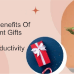 The Surprising Benefits Of Corporate Plant Gifts For Workplace Productivity