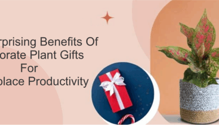 The Surprising Benefits Of Corporate Plant Gifts For Workplace Productivity