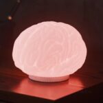 Xech Brain Table Lamp