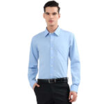 Arrow Formal Shirt for Men Filafil