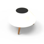 Mono Portable Bluetooth Speaker