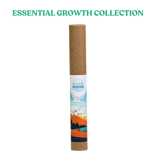 5 Plantable Pencil Set Eco-Friendly-5 5 Plantable Pencil Set Eco-Friendly-5