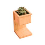 Alder Wireless Charger with Planter