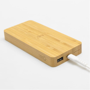Aspen QI 10000mAh power bank