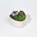 Ceramic Forest Bowl Eco-Friendly