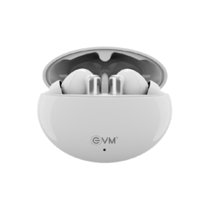 EnBuds ANC Earbuds True Wireless