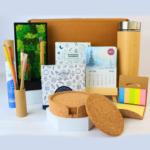 FOREST HAVEN KIT - A Eco-Friendly