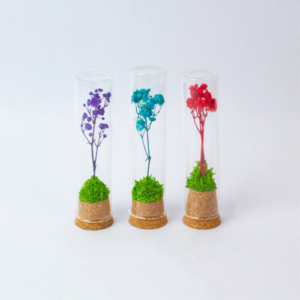 Flower Test Tube Eco-Friendly
