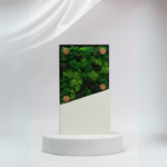 Forest Award Acrylic Design Frame