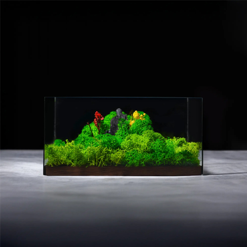 Forest Terrarium Classic Eco-Friendly