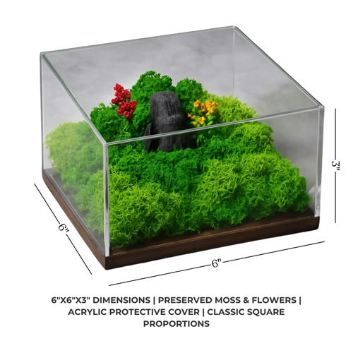 Forest Terrarium Classic Eco-Friendly