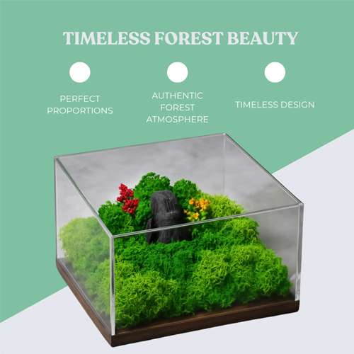 Forest Terrarium Classic Eco-Friendly