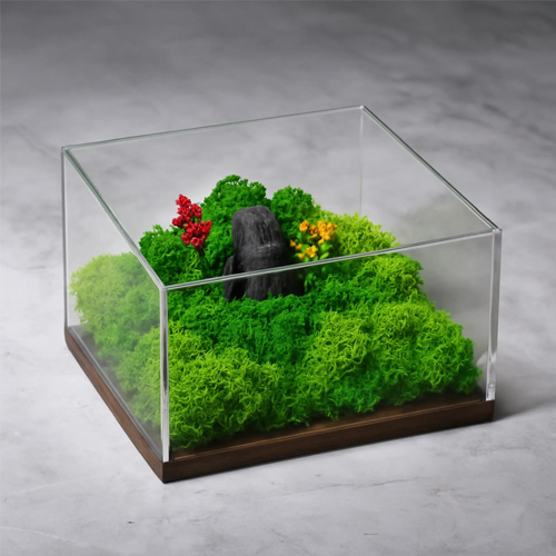 Forest Terrarium Classic Eco-Friendly