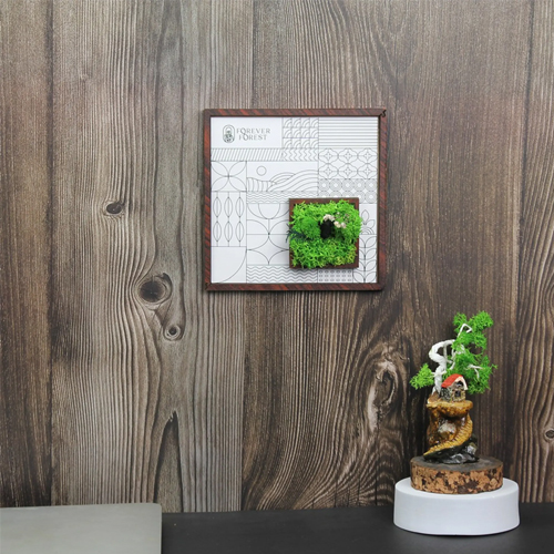 Forest Window Classic Frame