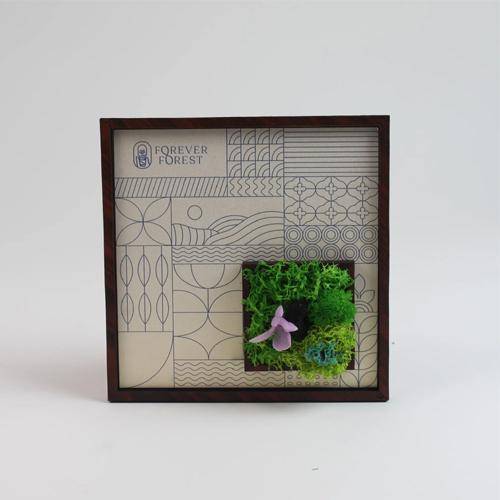 Forest Window Classic Frame