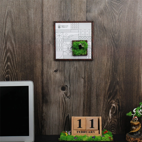 Forest Window Classic Frame