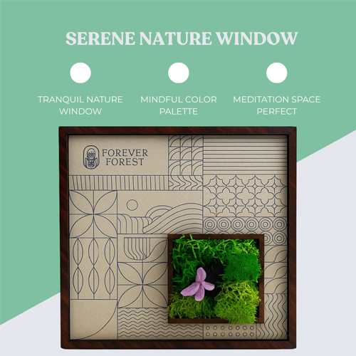 Forest Window Classic Frame