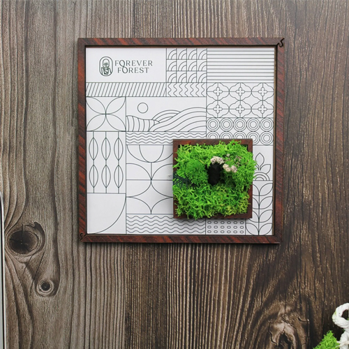 Forest Window Classic Frame