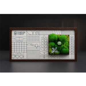 Forest Window Mini Frame Eco-Friendly