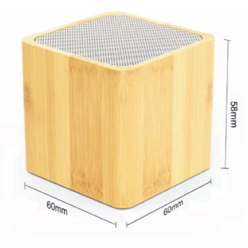 Zyntric Portable Speaker