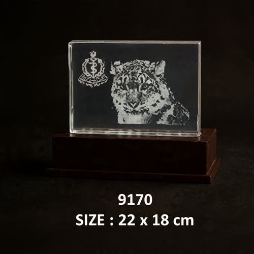 Corporate Award Crystal Trophies