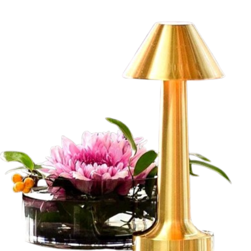 Exclusive Rechargeable Table Lamp – 3 Colour Mode Touch Metal Lamp