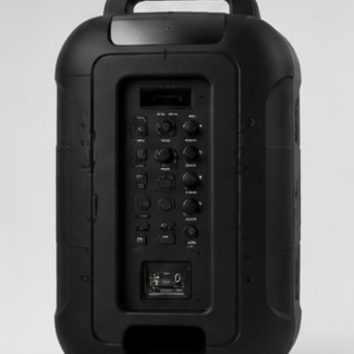 Party Speaker with Wireless Mic – Zebronics Sono Plus