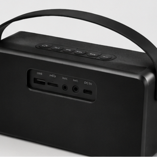 Wireless Speaker with Wired Mic – Zebronics Sound Feast 65