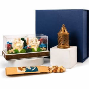 Gift Set - The Aranya Glow Box Festive Lit Display