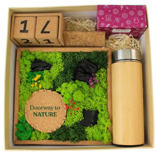 The Forest Chronicles Box — Nature Themed Gift Set The Forest Chronicles Box — Nature Themed Gift Set