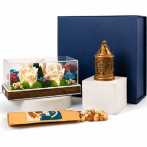 Gift Set - The Aranya Glow Box Festive Lit Display