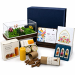 Gift Set - The Terrarium Box Festive Nature Hamper