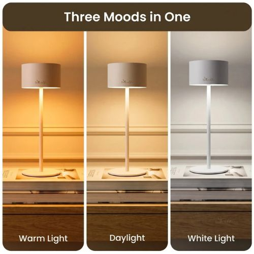 Table Lamp - Timalfi Stella Sleek Metal Touch Lamp
