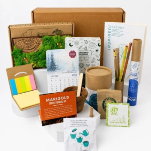 The Panorama Desk Box